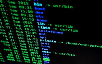Illustration of WordPress hardening deep dive: secure file permissions and ownership with upload directory best practices.
